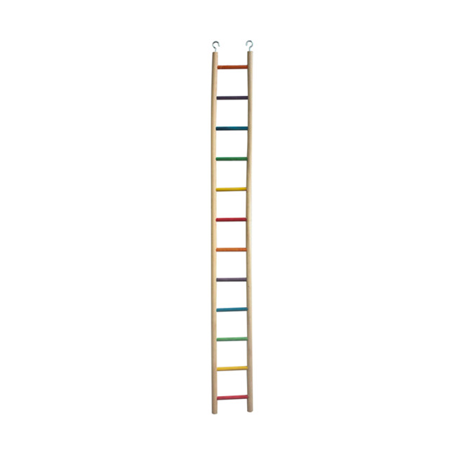 Wholesalers Most Favorite 3 Parrot Ladders  Wholesalers Most Favorite 3 Parrot Ladders