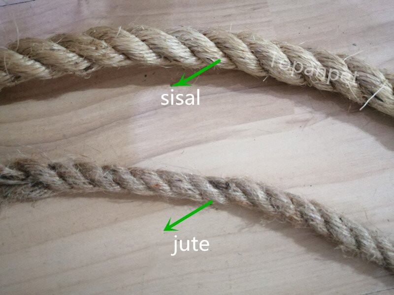 The Difference Between Sisal and Jute for Bird Toys