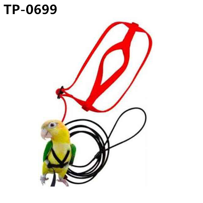 Birds Harness Parrot Leash Pet Training Supplies Pet Anti-bite Outdoor Flying Rope Wholesale Price