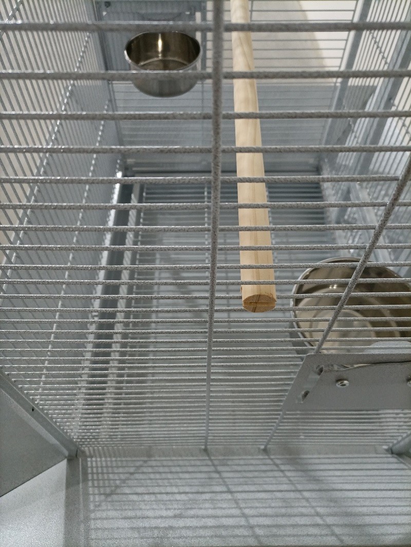 Pet Products Iron Parrot Cage with Rolling Stand for Birdie Parakeets Cockatiels Budgies Parrotlets