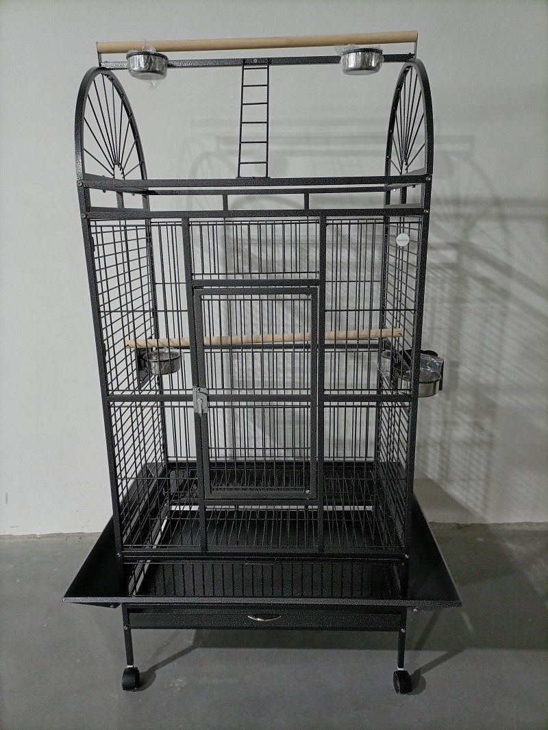 Large Rust Resistant Metal Parrot Cage for Birds with Rooftop Ladder and Playtop