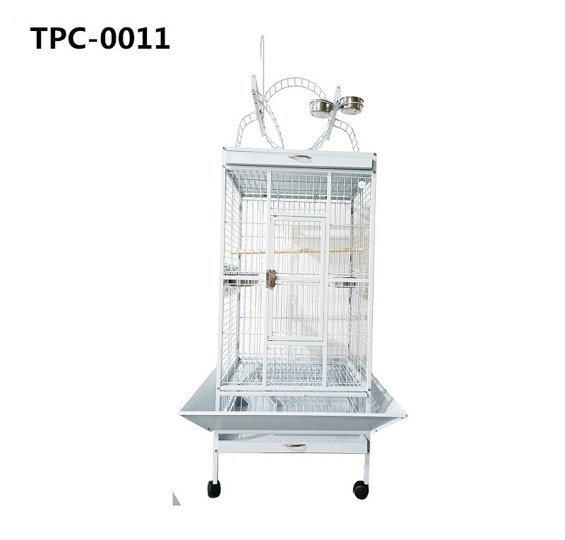 Pet Supplies Sturdy Wrought Iron Open Play Top Bird Flight Cage for  Parrot Parakeets Cockatiels Budgies Parrotlets Lovebirds Canary 